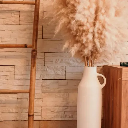 The Champenoise Jacuzzi - Vineyard 別荘 Verzenay